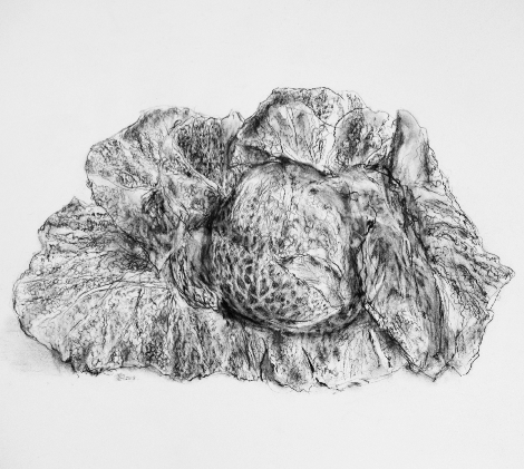 CabbageCharcoalDrawing