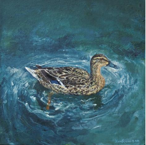 Painting of a hen mallard swimming by Ken Organ