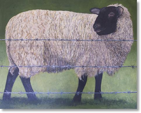 Sheep With Barb Wire Fence large painting by Ken Organ  